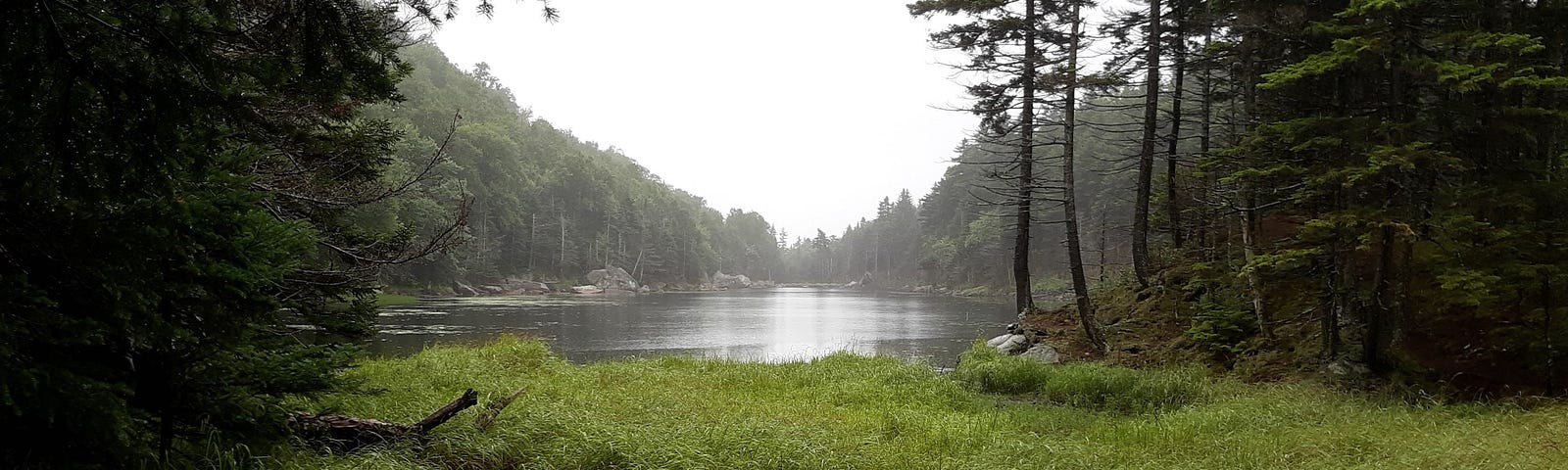 A misty afternoon view of Lost Pond, Gorham, NH