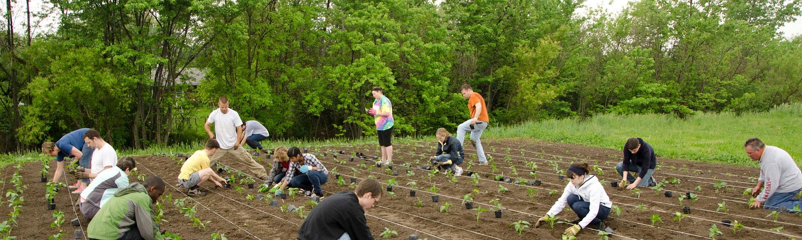 Group farming at Indy Urban Acres in Indianapolis, Indiana