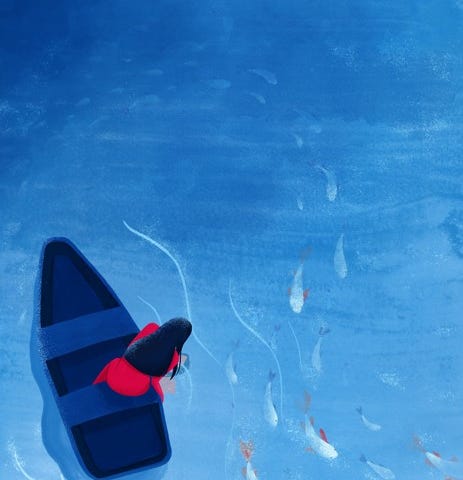 Ilustração. Vista suprior de um lago azul. Uma mulher está dentro de um pequeno barco, voltado para a parte superior, lado esquerdo da imagem. A mulher usa um vestido vermelho e tem cabelos negros. Ela se inclina sobre a água para observar uma série de peixes que passam de cima para baixo na corrente.
