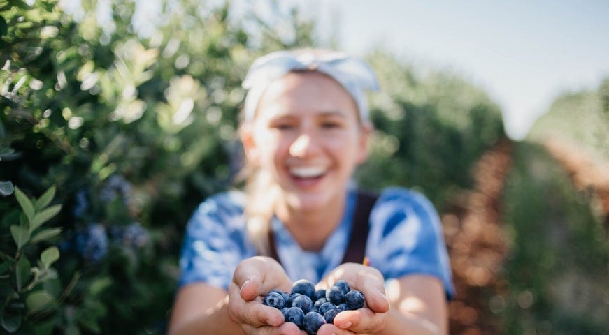 A girl in the garden showing a handful of blueberries.