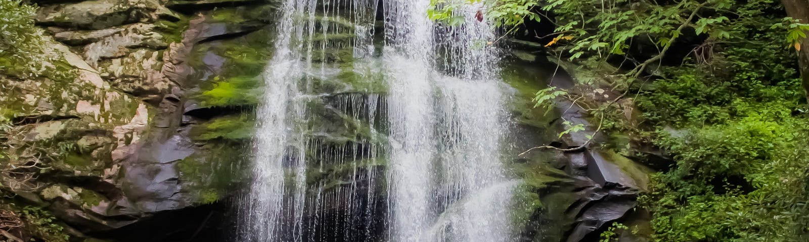 Image of a waterfall cascading down mossy rocks in the forest.