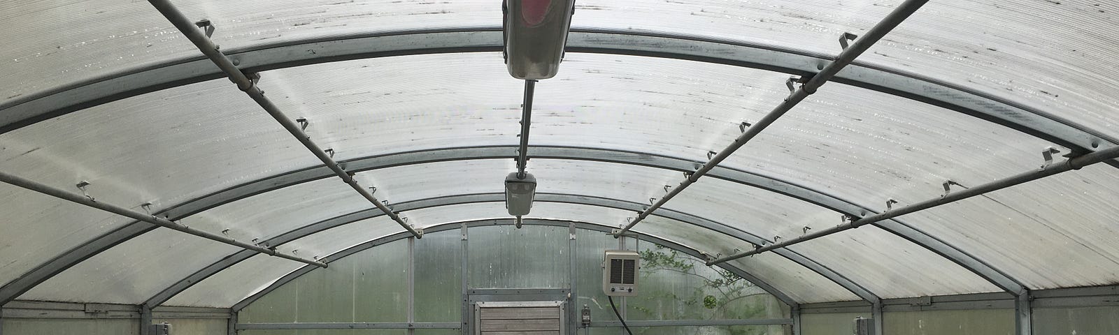 A view of the interior of a greenhouse