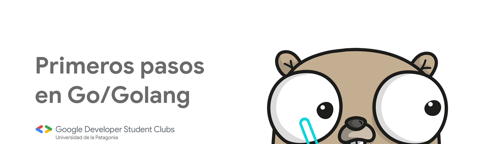 Primeros pasos en Go/Golang — Google Developer Student Clubs Universidad de la Patagonia