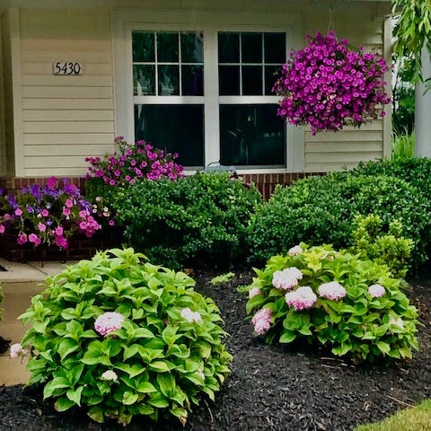 FRONT YARD WITH PINK FLOWERS ALL OVER!