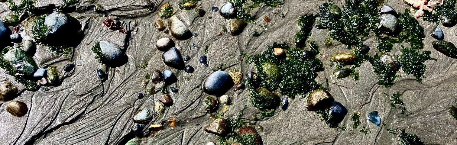 Sand with rivulets cut by water, rocks and seaweed