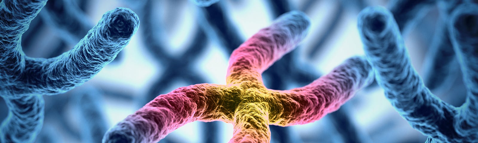 Beautiful illustration of a chromosome, colored pink, blue, and yellow. Other blue-colored chromosomes fill out the image. After performing a case-control study, researchers report no meaningful differences in the prevalence of abnormal breast cancer risk genes between Black and non-Hispanic white women with breast cancer.