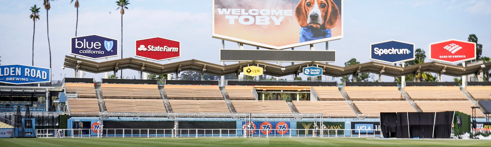 Photos: Dodgers invite TikTok dog Toby for VIP experience, by Rowan Kavner