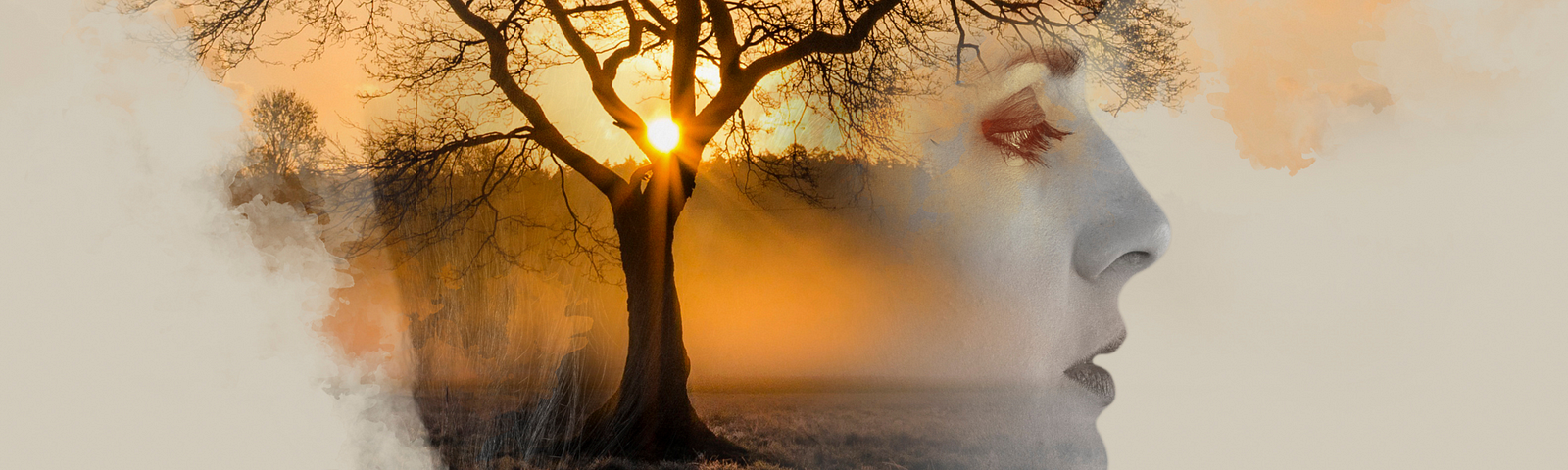 Double exposure barren tree and woman’s face in thoughtful gaze with golden sunlight streaming across the image.