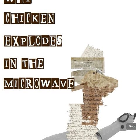 Book Cover for “Why Chicken Explodes in the Microwave” by Nolcha Fox and Published by Dancing Girl Press