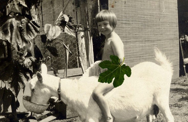 A small girl smiling as she sits atop the back of a white goat. Copyright Ellen Anne Chong