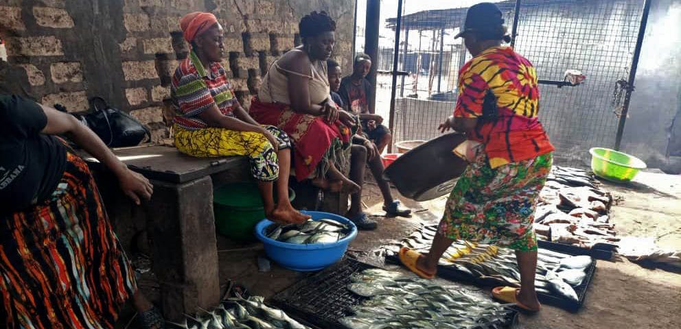 Four women fishmongers selling dried fish in a market. There are trays of fish on the ground and bowls of fish being prepared.