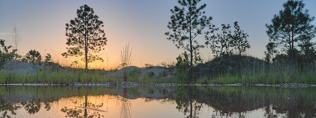 This is an image as the sun is setting behind the small hills. Large, sparse trees are mirror imaged in the water that takes up the forefront and half of the image. The reflection is perfect — simple and transparent, an authentic representation of each tree.