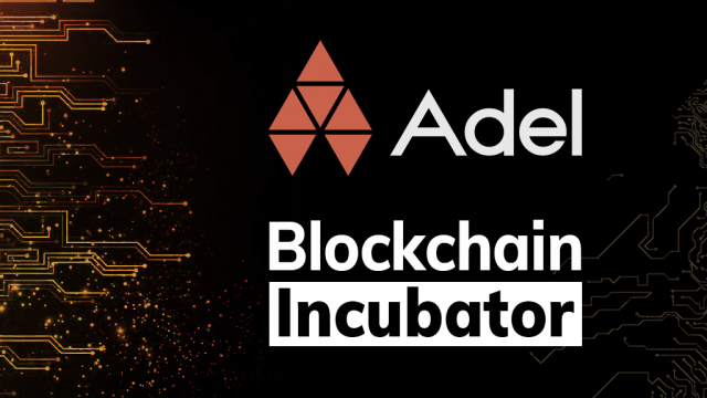 Adel Ecosystem Ltd. — Blockchain Incubator —  Opinion articles