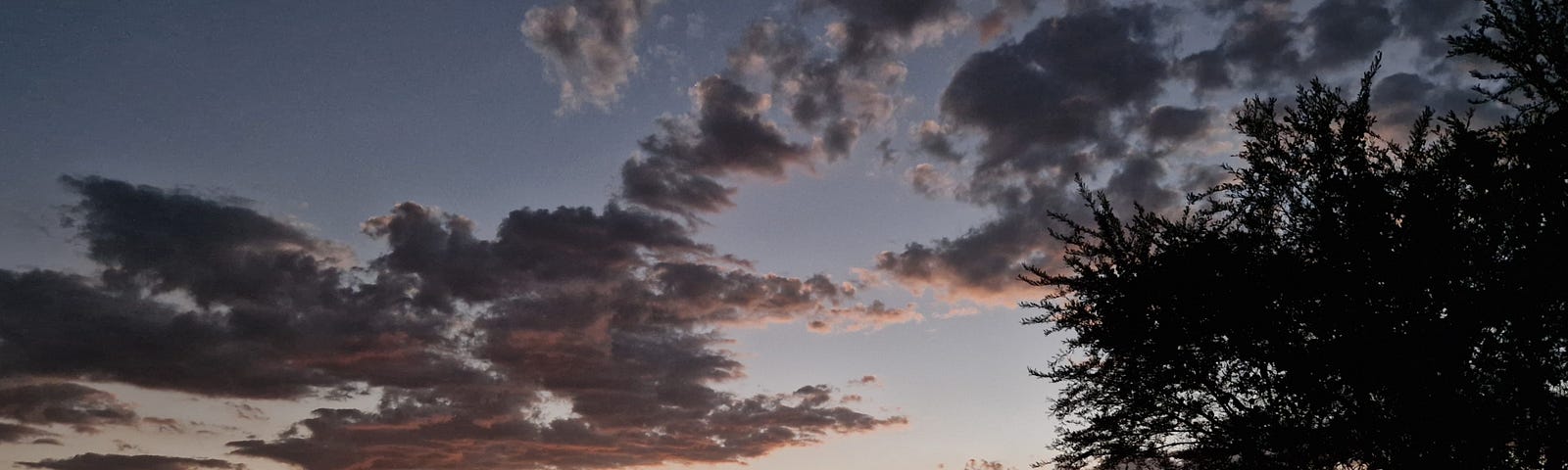 A sky grading from teel blue to orange sky, just after sunset, seen across a body of water, and framed by a tree on the right.