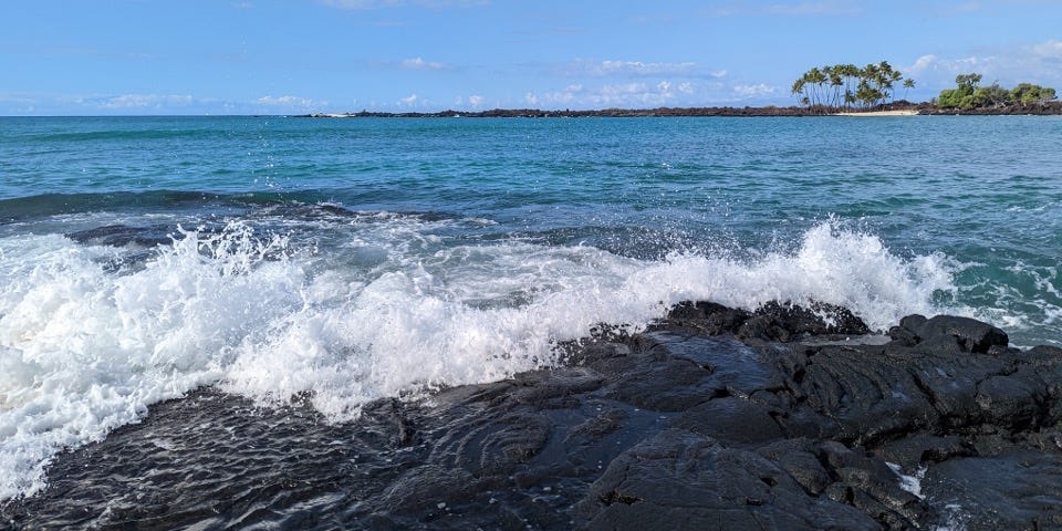 Waves hitting black rocks with palm trees in the background