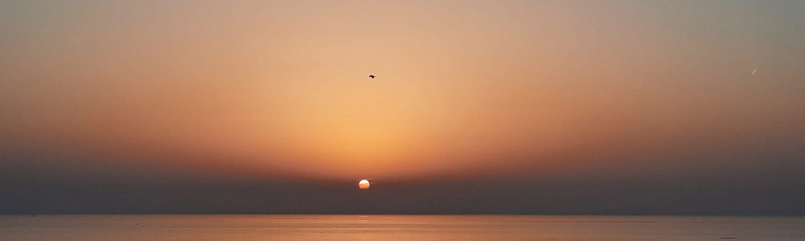 A sun set visible from the beach by the sea, a bird is flying, and people standing or sitting on the beach.