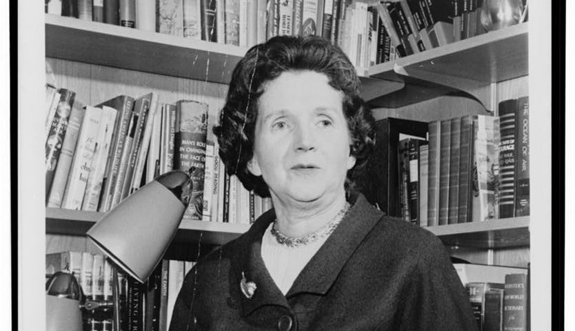 Historical image of Rachel Carson in her personal library with a copy of Silent Spring.