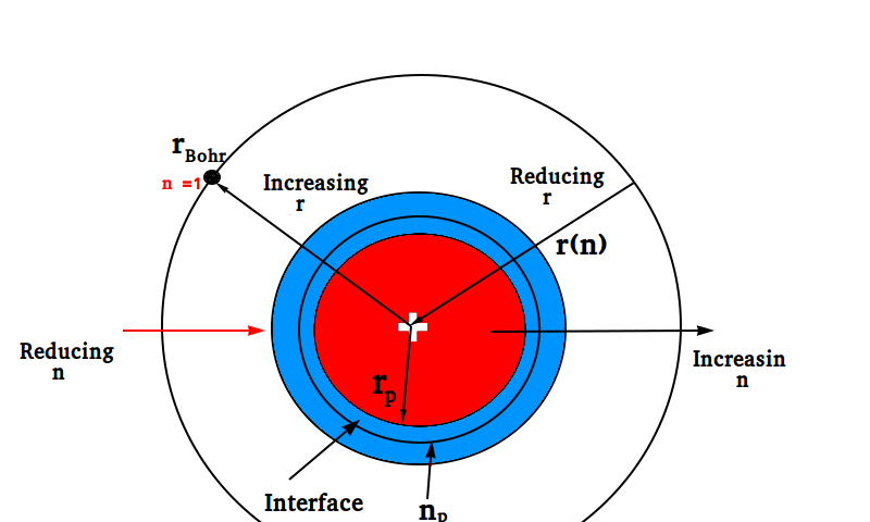 A solution to the proton radius puzzle