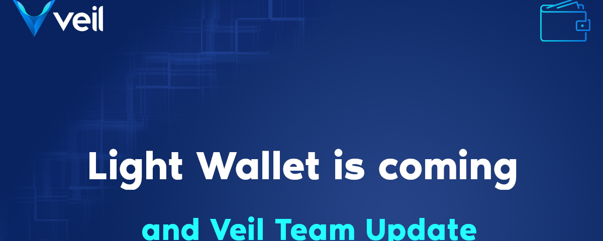 Light wallet is coming, and Veil Team Update