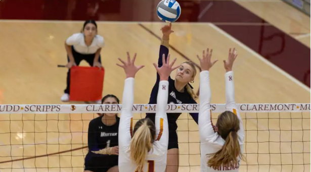 In a gym with light brown floors and dark brown corners, a volleyball game is in session. The net is in the front with two women facing away from the camera and trying to reach something. The other side of the net is two other women, one of which is in mid-jump with a ball on her finger and the other is squatting. There is another person far away from them with a red flag, looking like she is waiting for something.