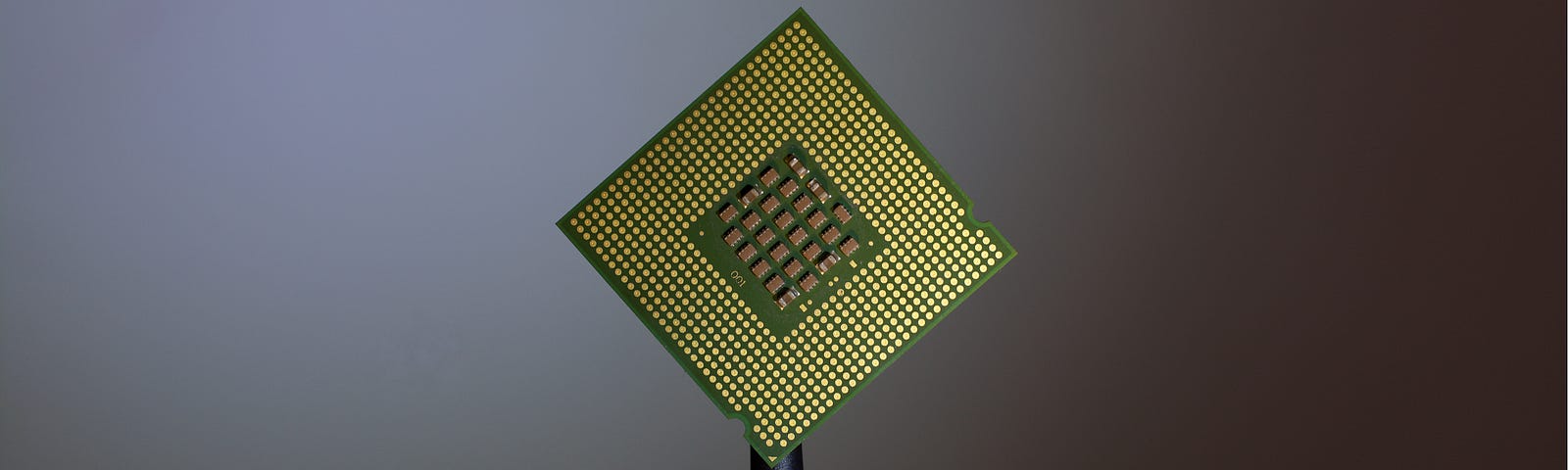 Computer chip on held the end of tweezers