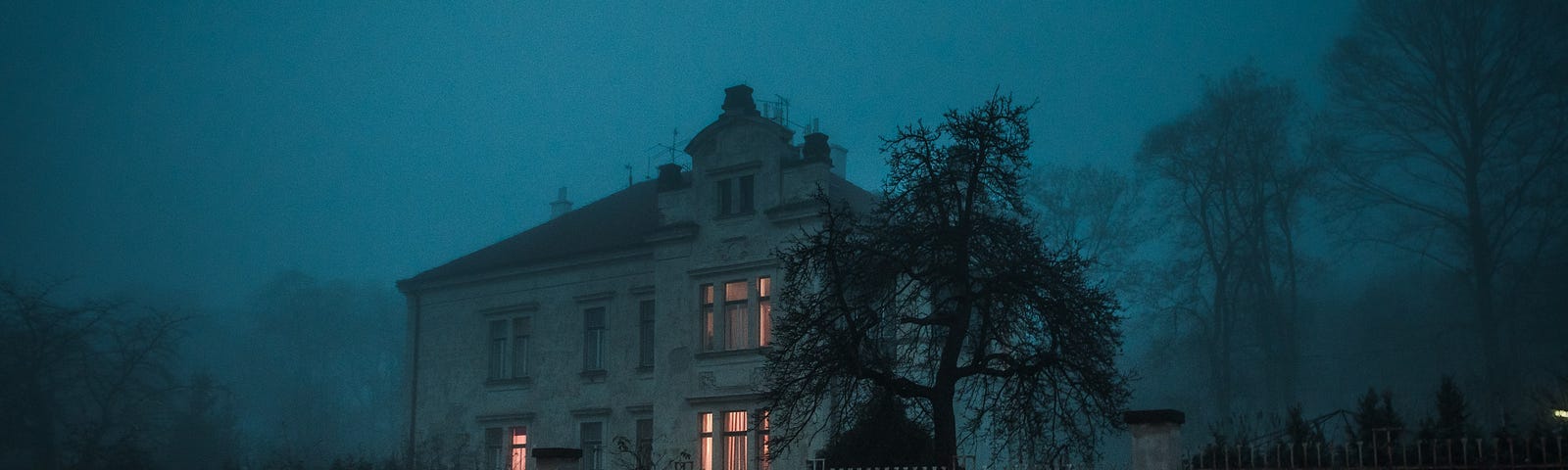 Picture taking during a foggy night. A picture of the outside of a big house with lights on in a few rooms and a big tree next to it. Eerie and scary vibe.