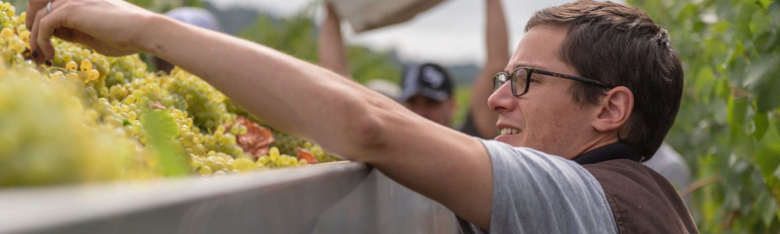 Martin Bernal-Hafner, Winemaker at Topel and Orsa Wines