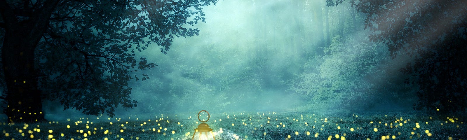 Fairy lights and a lantern in a beautiful green field