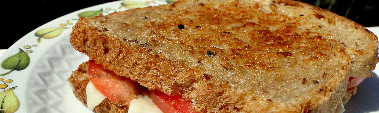 Photo of a grilled tomato and cheese sandwich