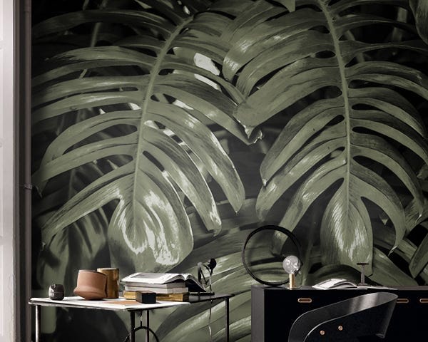 Monstera leaves removable wallpaper