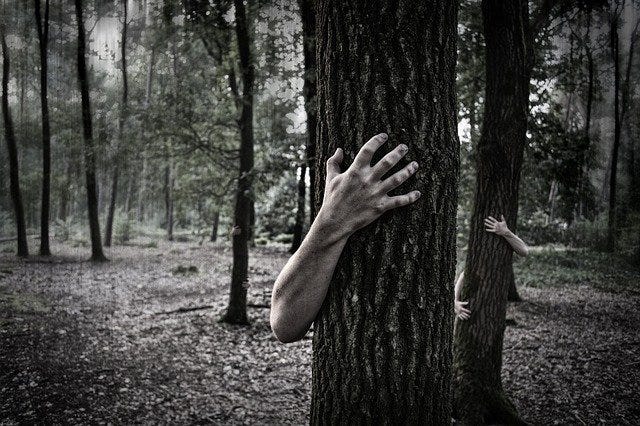 A picture of creepy hands surrounding tree trunks in a wood