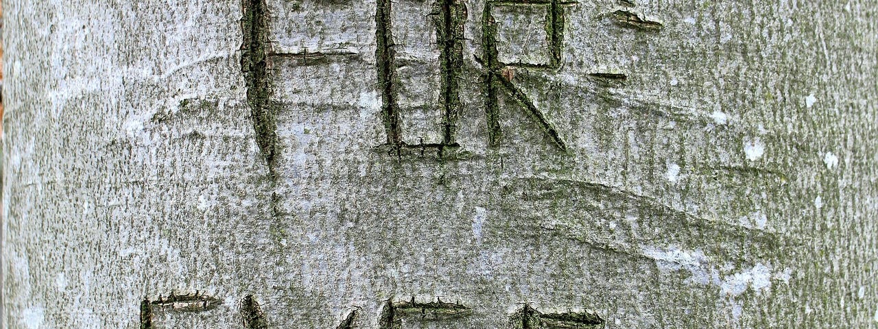 The words “for” and “ever” carved into a tree.