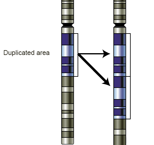 Cartoon of chromosome next to to a chromosome with an extra gene