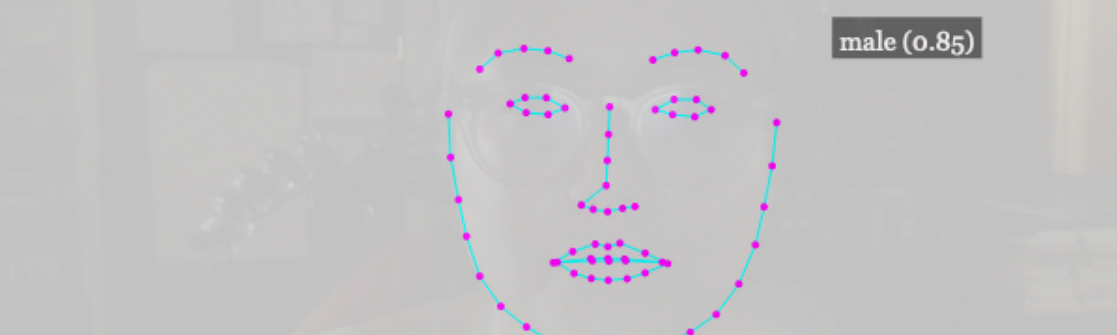 A screenshot of my engagement and interaction with artist and scholar Chelsea Thompto’s work Landmarks. The background is faint and a grayish, off-white while the teal lines and magenta dots show the basic contours of my face. The software “reads” my face as male and neutral.