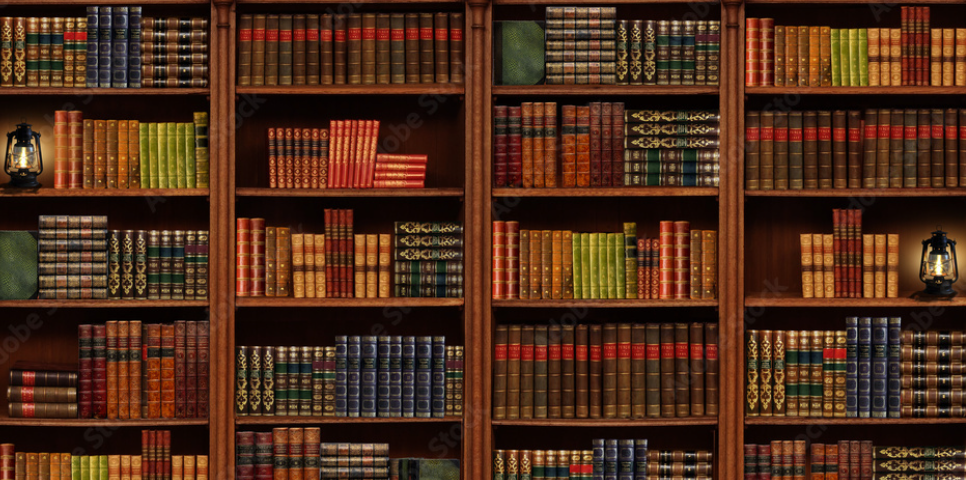 Shelving with books. Library. Book collection.