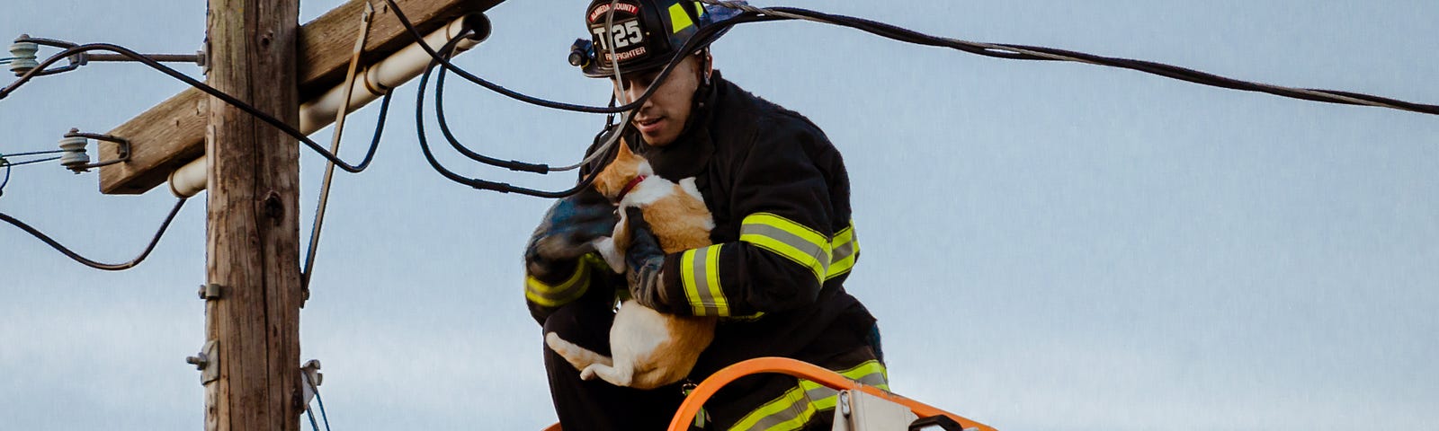 First Responder rescuing a kitten from a pole. First things first