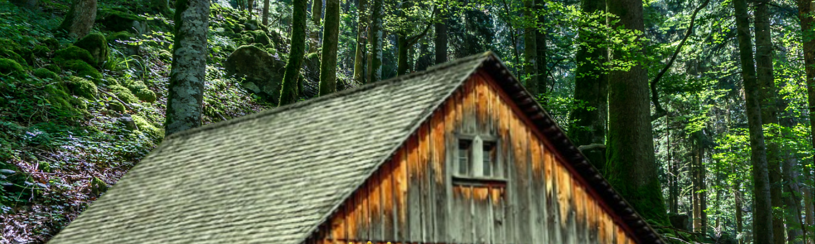 A wood cabin in the Black Forest. The House of Dwarves.