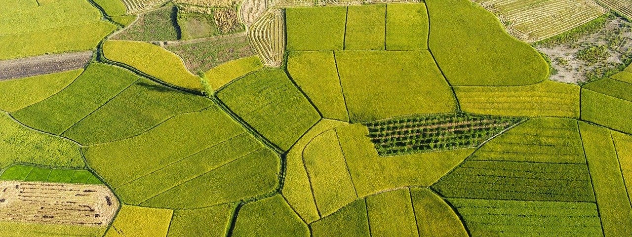 Green patchwork fields, some planted, some plowed,  ready for the next season.