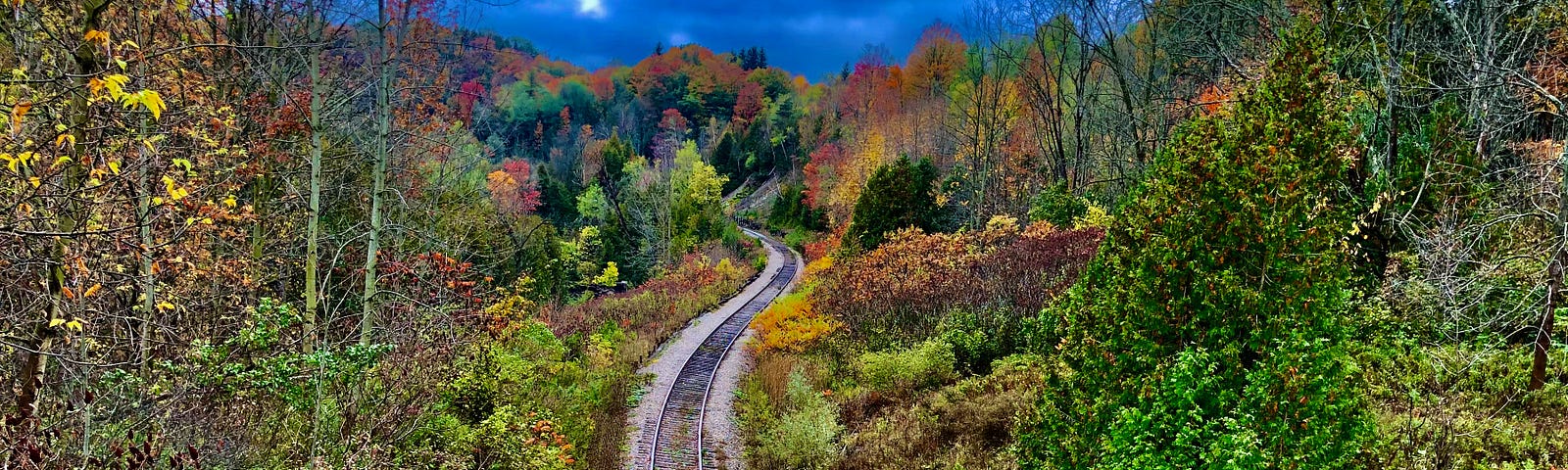 A train track meanders away through trees and towards a cloudy sky