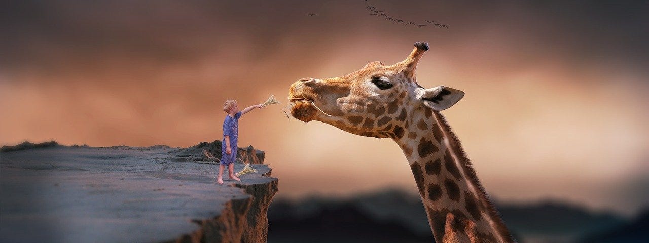 A drawing where we see a dream, a fantasy: a little boy feeding a huge giraffe.
