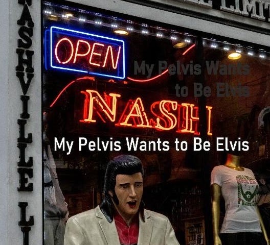 The Book Cover for “My Pelvis Wants to Be Elvis” by Nolcha Fox