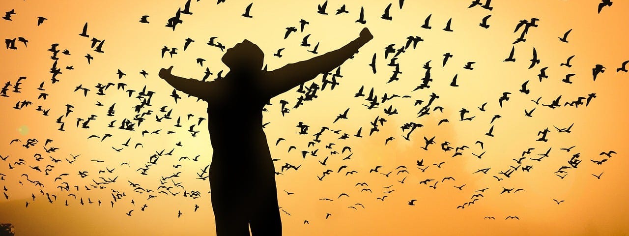 silhouette of a woman, arms outstretched amidst a flock of birds flying against a sunrise. (Attend your mother’s funeral)