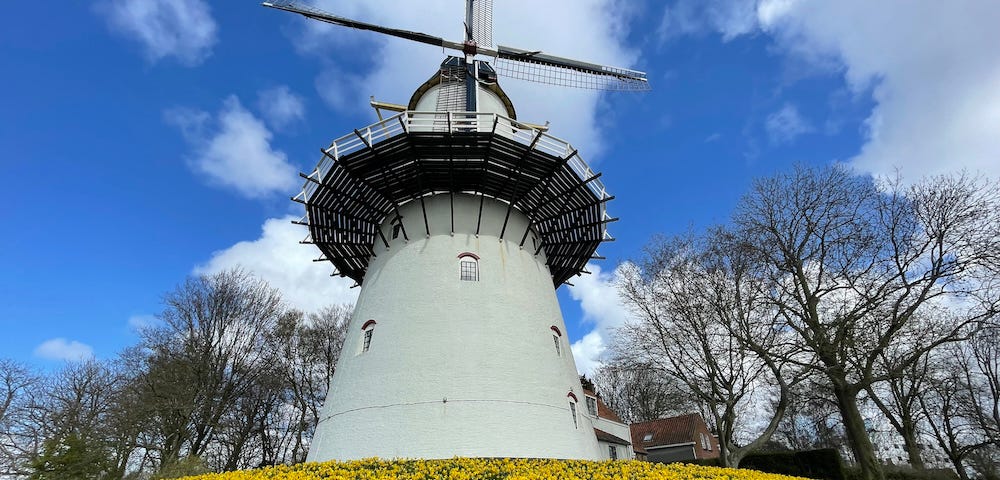 A white, classic Dutch windmill under a blue, semi-cloudy sky. Beneath the windmill is a field covered in yellow daffodils.