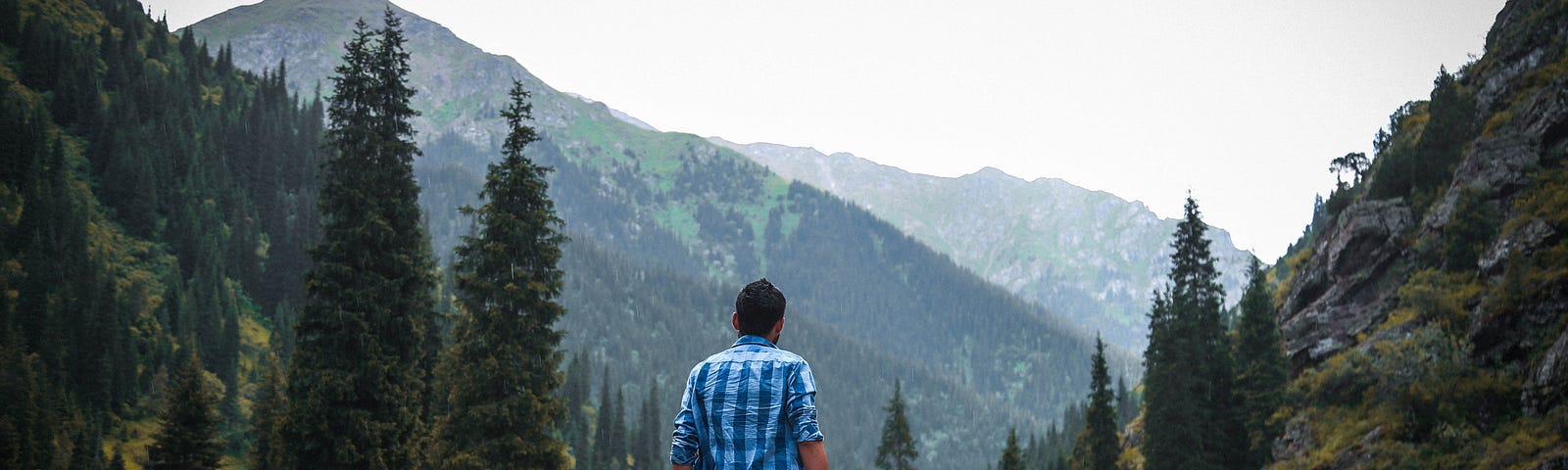 Man with a camera standing outside a beautiful forest