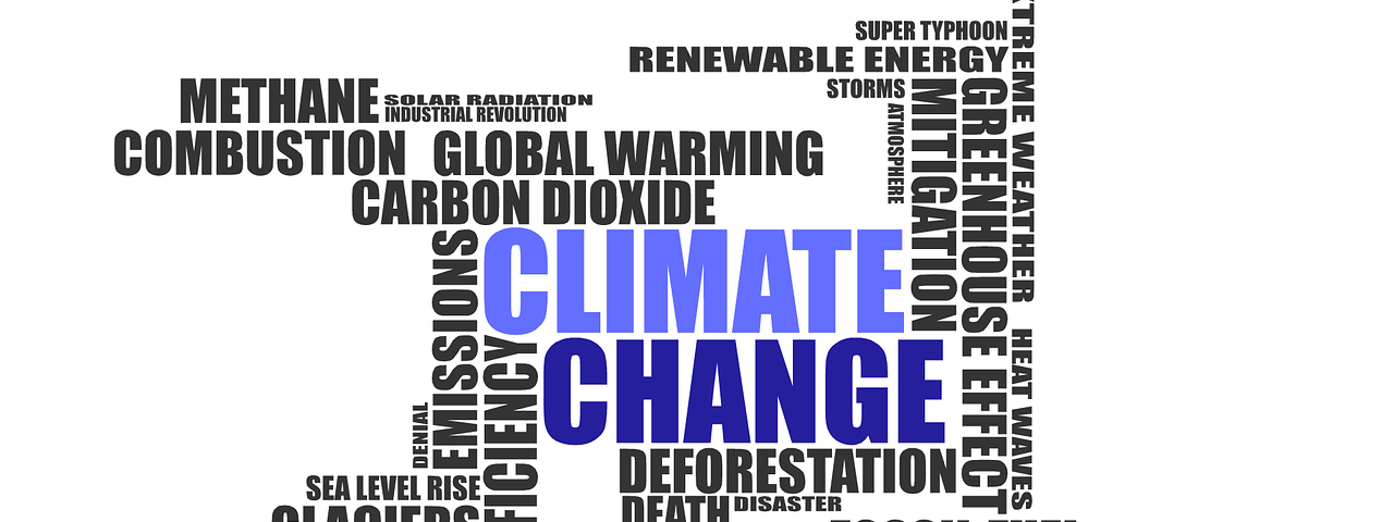 Climate Anxiety Field Notes Teaching Climate Change In Higher Education Medium