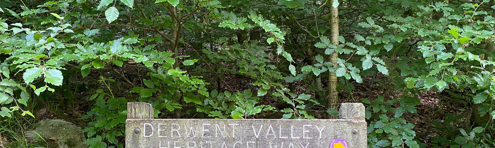 A wooden sign reads ‘Derwent Valley Heritage Way River Trent 55 miles’. Behind are green foilage and trees.