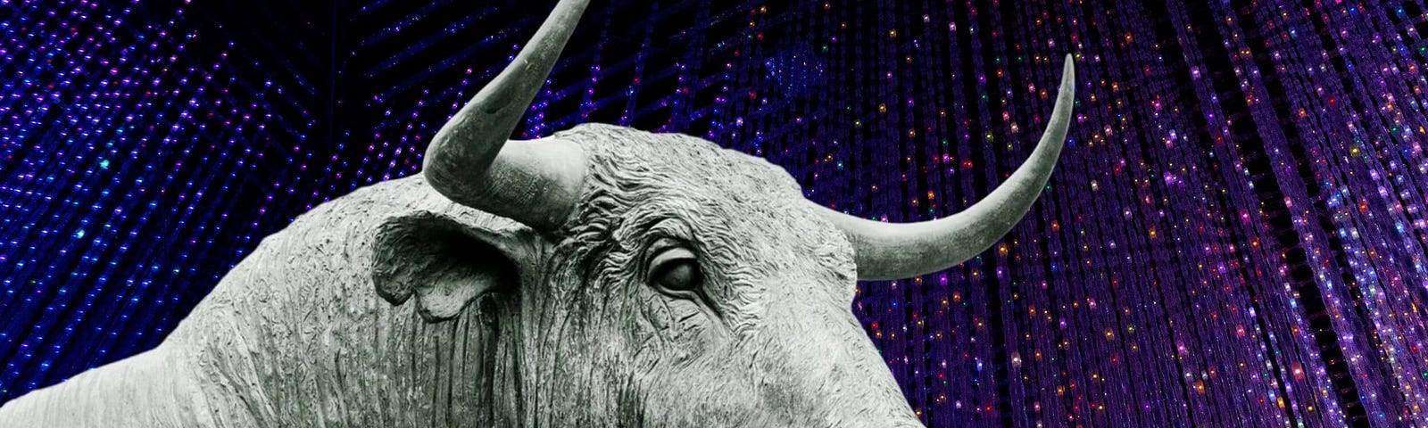 Bull and Stock Market : Bitcoin Halving