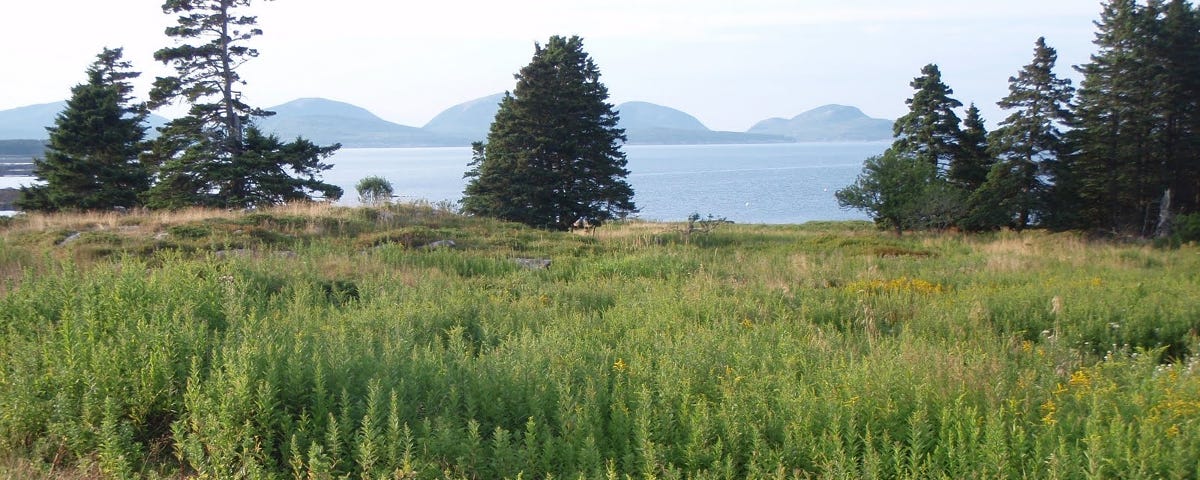 A view of the ocean and distant mountains from a green meadow.