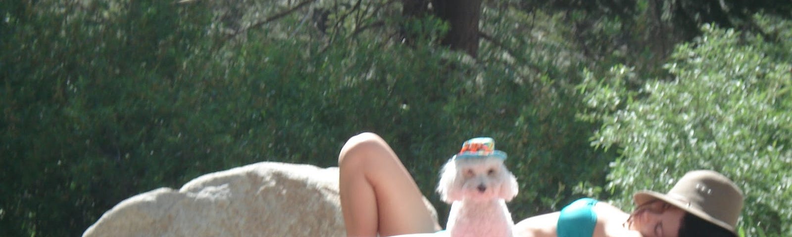 A woman sits sunbathing on a rock with a hat over her face and her white dog also wears a hat and looks at the camera