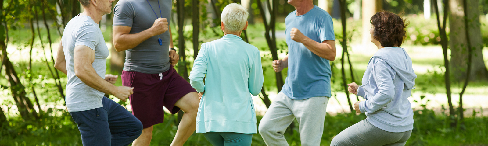 5 middle age people exercising in a park